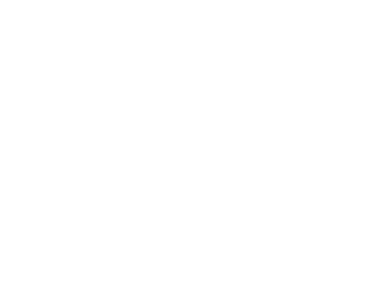 Digital Meson
